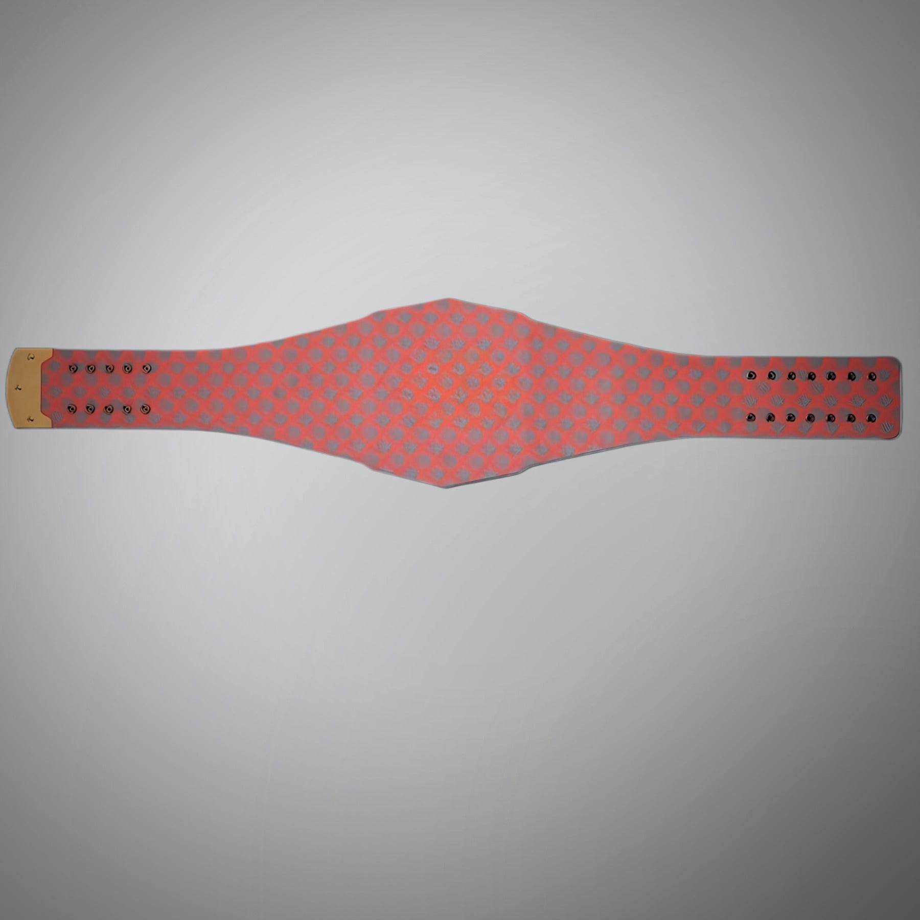 Ultimate fan collectible – Miami Dolphins WWE Legacy title belt with NFL features.