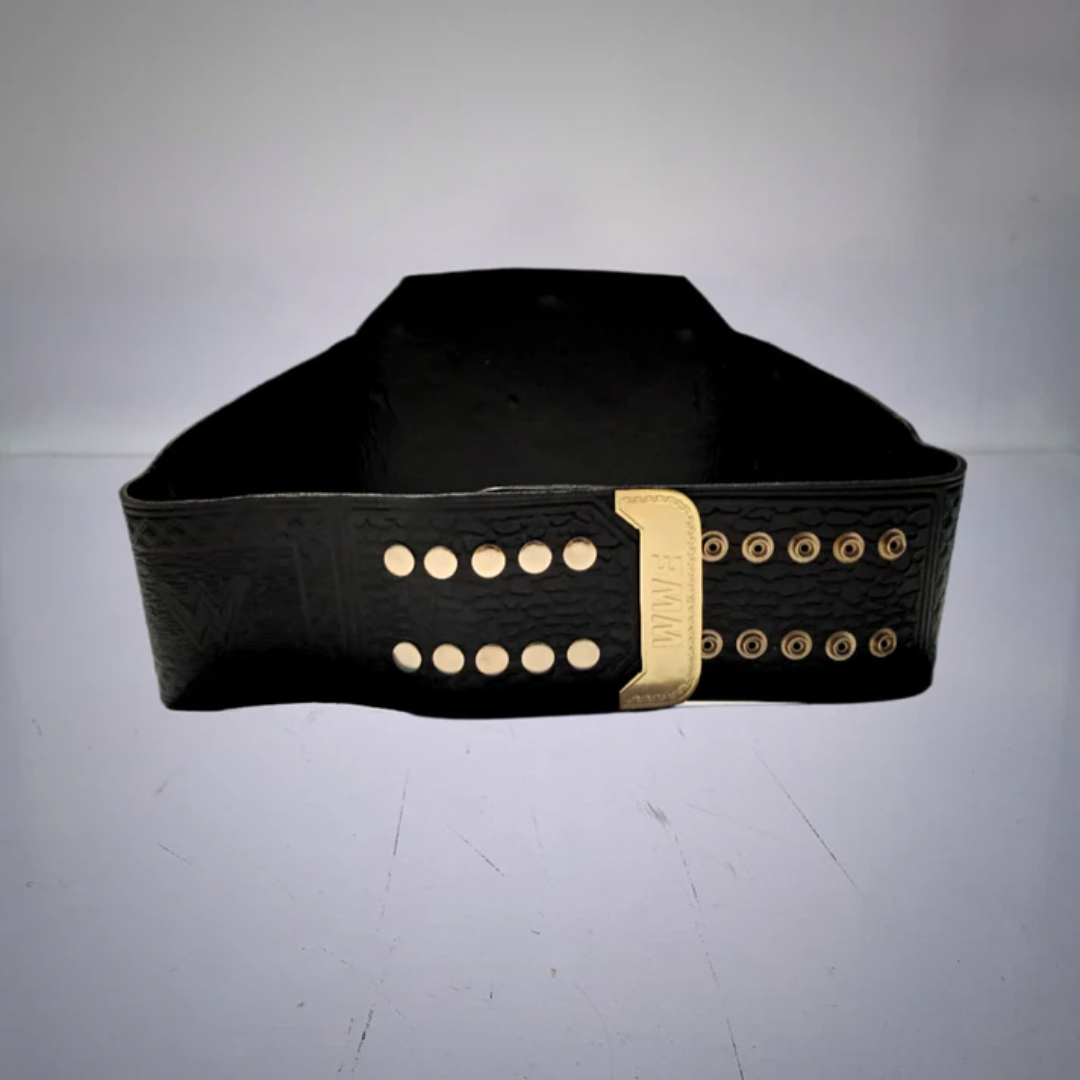 WWE World Heavyweight Championship Belt 2014