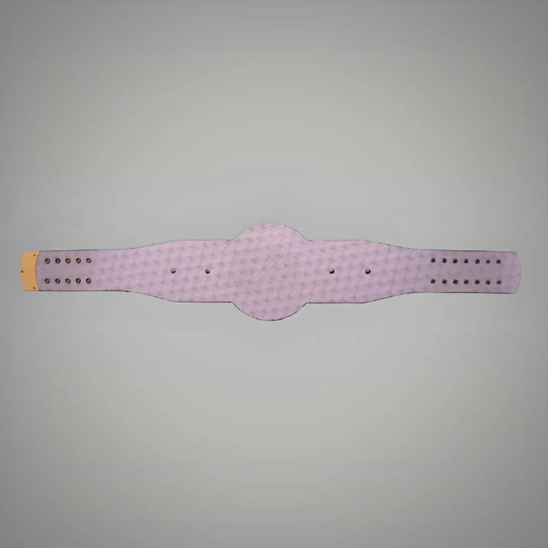 Chicago White Sox WWE MLB Belt - Legacy Championship Title